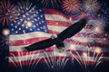 Eagle with Fireworks and Flag
