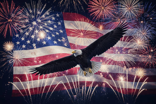 Eagle with Fireworks and Flag
